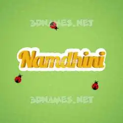 namdhini in Ladybugs style - 3D name wallpaper