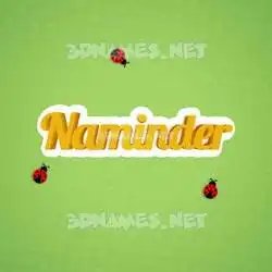 naminder in Ladybugs style - 3D name wallpaper