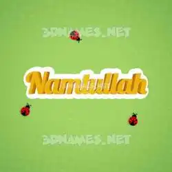 namtullah in Ladybugs style - 3D name wallpaper