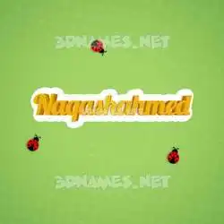 naqashahmed in Ladybugs style - 3D name wallpaper