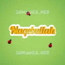 naqebullah in Ladybugs style - 3D name wallpaper