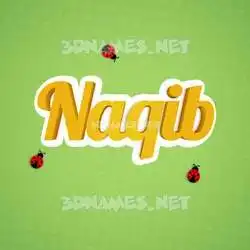 naqib in Ladybugs style - 3D name wallpaper