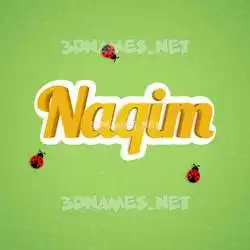 naqim in Ladybugs style - 3D name wallpaper