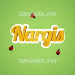 nargis in Ladybugs style - 3D name wallpaper