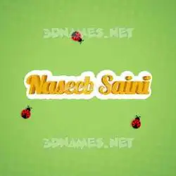 naseeb saini in Ladybugs style - 3D name wallpaper