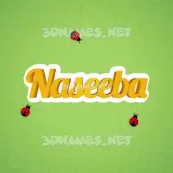 naseeba in Ladybugs style - 3D name wallpaper