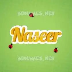 naseer in Ladybugs style - 3D name wallpaper