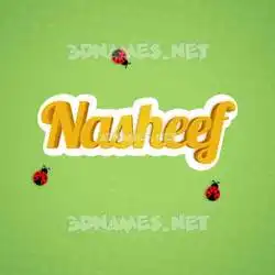 nasheef in Ladybugs style - 3D name wallpaper