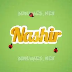 nashir in Ladybugs style - 3D name wallpaper