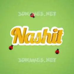 nashit in Ladybugs style - 3D name wallpaper