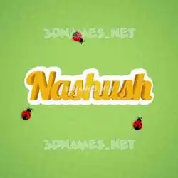 nashush in Ladybugs style - 3D name wallpaper