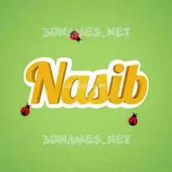 nasib in Ladybugs style - 3D name wallpaper