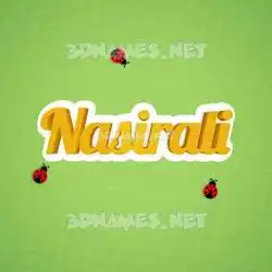 nasirali in Ladybugs style - 3D name wallpaper