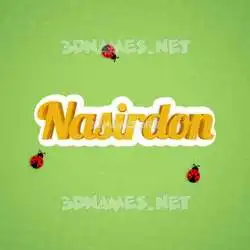 nasirdon in Ladybugs style - 3D name wallpaper