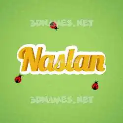 naslan in Ladybugs style - 3D name wallpaper