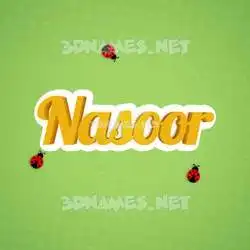 nasoor in Ladybugs style - 3D name wallpaper