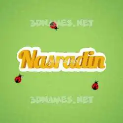 nasradin in Ladybugs style - 3D name wallpaper
