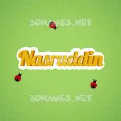 nasruddin in Ladybugs style - 3D name wallpaper