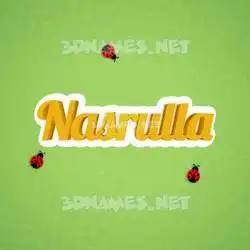 nasrulla in Ladybugs style - 3D name wallpaper