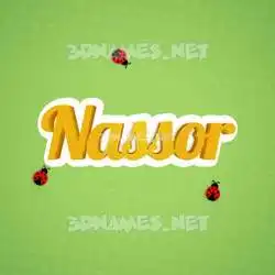 nassor in Ladybugs style - 3D name wallpaper