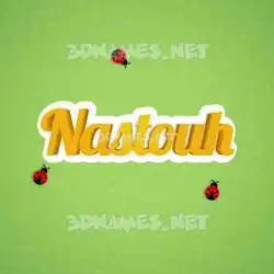 nastouh in Ladybugs style - 3D name wallpaper