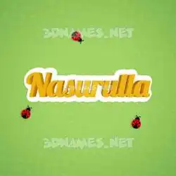 nasurulla in Ladybugs style - 3D name wallpaper