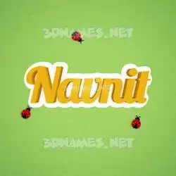 navnit in Ladybugs style - 3D name wallpaper