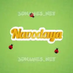 navodaya in Ladybugs style - 3D name wallpaper