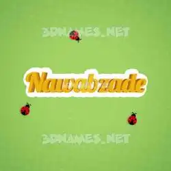 nawabzade in Ladybugs style - 3D name wallpaper