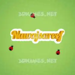 nawajsareef in Ladybugs style - 3D name wallpaper