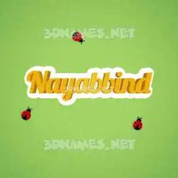 nayabbind in Ladybugs style - 3D name wallpaper