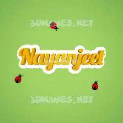 nayanjeet in Ladybugs style - 3D name wallpaper