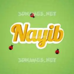 nayib in Ladybugs style - 3D name wallpaper
