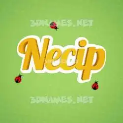 necip in Ladybugs style - 3D name wallpaper