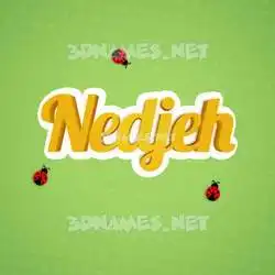 nedjeh in Ladybugs style - 3D name wallpaper