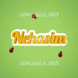 nehasim in Ladybugs style - 3D name wallpaper