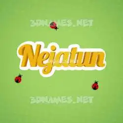 nejatun in Ladybugs style - 3D name wallpaper