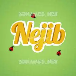 nejib in Ladybugs style - 3D name wallpaper