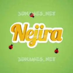 nejira in Ladybugs style - 3D name wallpaper