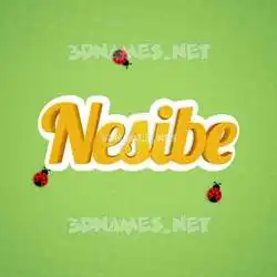 nesibe in Ladybugs style - 3D name wallpaper