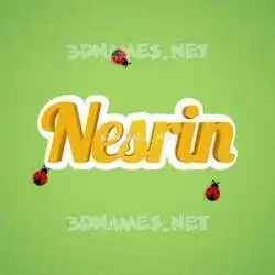 nesrin in Ladybugs style - 3D name wallpaper