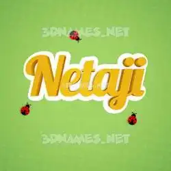 netaji in Ladybugs style - 3D name wallpaper