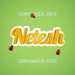netesh in Ladybugs style - 3D name wallpaper