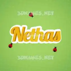 nethas in Ladybugs style - 3D name wallpaper