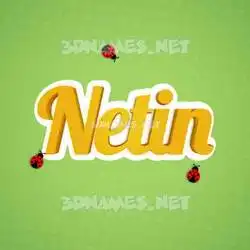 netin in Ladybugs style - 3D name wallpaper