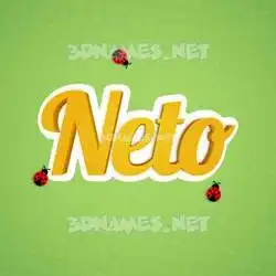 neto in Ladybugs style - 3D name wallpaper