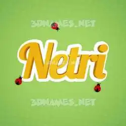netri in Ladybugs style - 3D name wallpaper