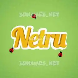 netru in Ladybugs style - 3D name wallpaper