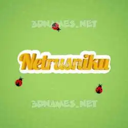 netrusniku in Ladybugs style - 3D name wallpaper
