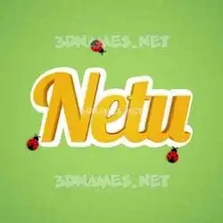 netu in Ladybugs style - 3D name wallpaper